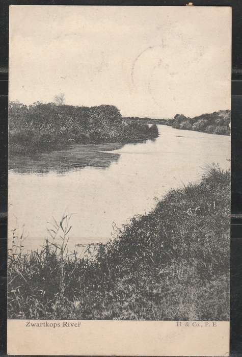 A PICTURE POST CARD ZWARTKOPS RIVER LOOK SCAN X2