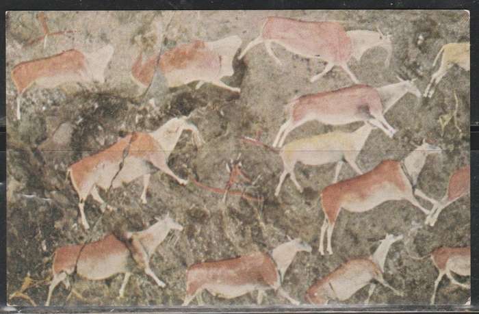 POST CARD SHOWING ROCK-PAINTINGS FROM ZAAMENKOMST MACLEAR DISTRICT CAPE MINT LOOK SCAN