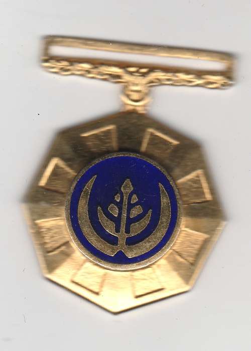 SADF PRO PTRIA MEDAL BORDER WAR F/S - FIXED SUSPENDER 189140