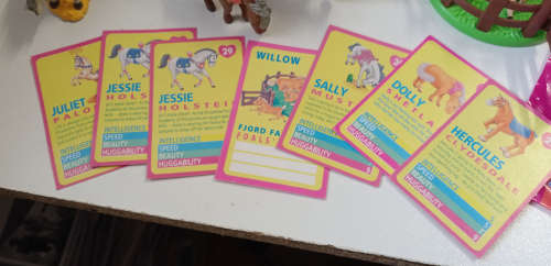 Vintage Pony In My Pocket Toy Figurines, Cards (Set) Rare Joblot