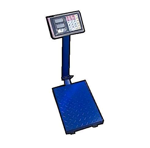 100Kg Capacity Scale Electronic Platform Scale (best quality)