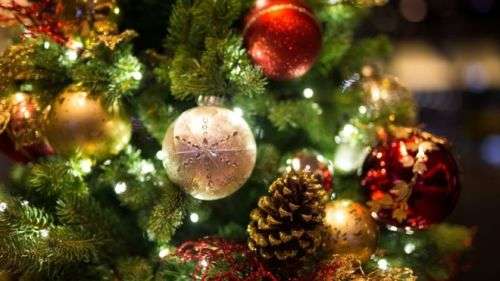 Christmas Tree (210cm)
