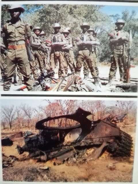 The War for Africa: 12 Months That Transformed a Continent. Fred Bridgeland.