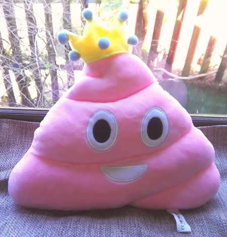Pink Princess Poop Plush Emoticon Pillow/Toy!  33cm.