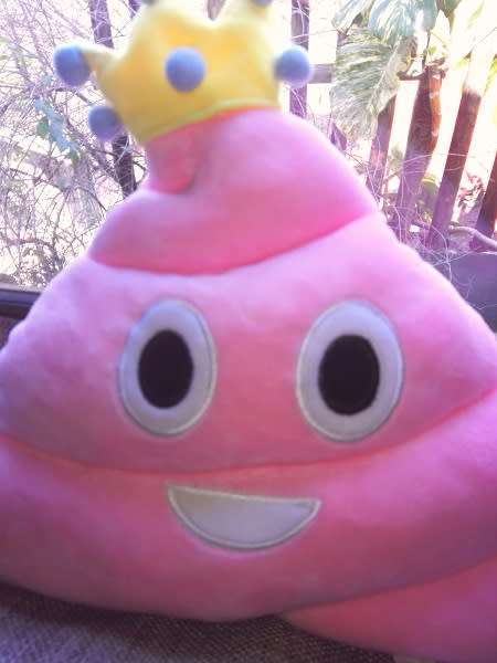 Pink Princess Poop Plush Emoticon Pillow/Toy!  33cm.
