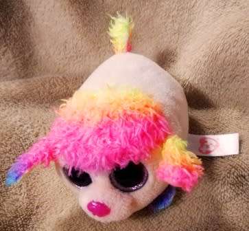 TY Beanie Teeny Tys. Floral The Rainbow Poodle Stack-able Dog Toy.