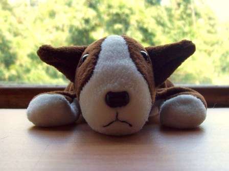Ro-Lex the Watch-dog Bull-Terrier! - Soft Toy!