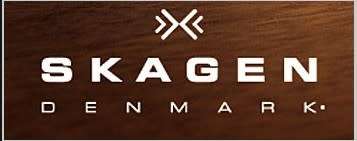 SKAGEN LADIES WATCH
