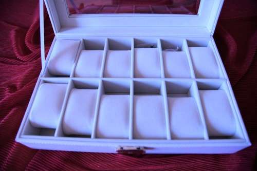 Watch Display Case