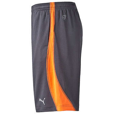 PUMA DRY ESSENTIAL JERSEY SHORTS SIZE EXTRA LARGE!!!!!MARKET VALUE R599.99