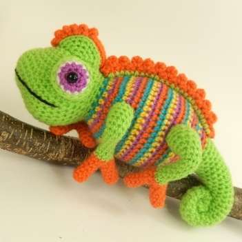 Colourful Chameleon