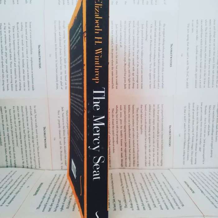 The Mercy Seat by Elizabeth H Winthrop