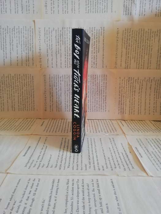 The Boy with the Tiger`s Heart by Linda Coggin