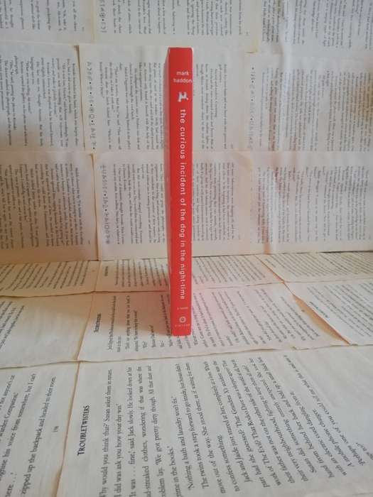 The Curious Incident of the Dog in the Night-time by Mark Haddon