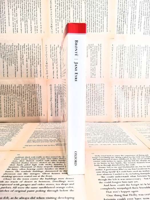 Jane Eyre by Charlotte Bronte