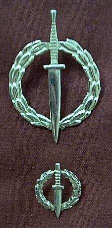 Special Forces (Recce) Operator badge set: Full size and mess dress