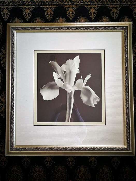 Block Mounted Sepia Print in a Stylish Silver Frame.