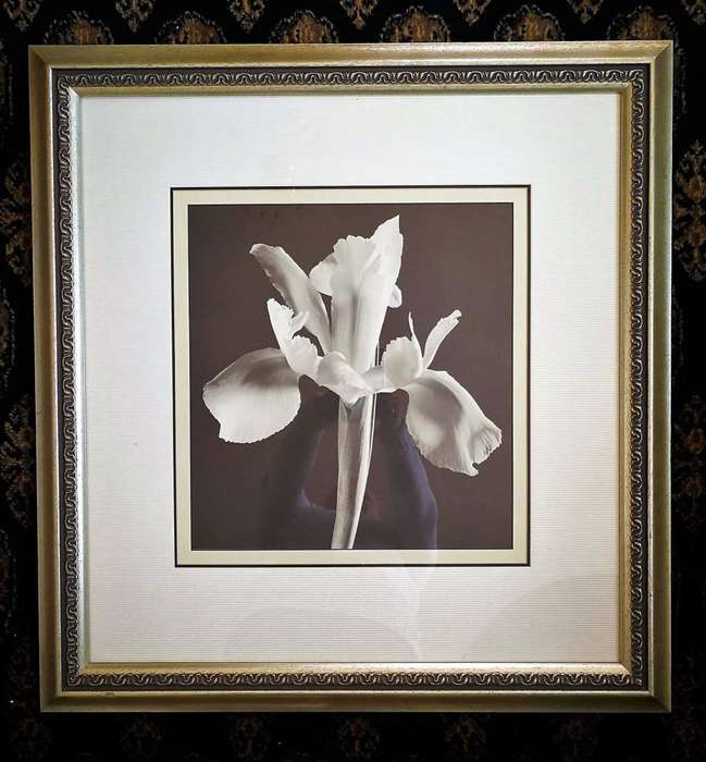 Block Mounted Sepia Print in a Stylish Silver Frame.