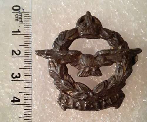 WW2 SA Air Force Badge.
