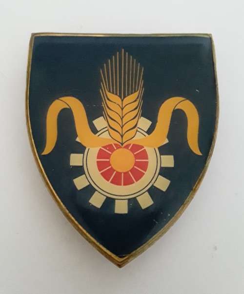 SADF Quartermaster General Shoulder Flash (all pins intact).