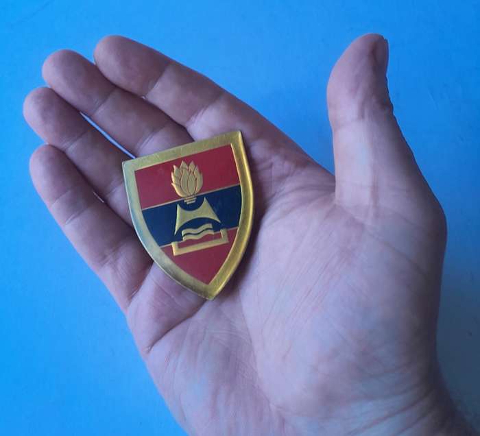 SADF 2 Field Engineer Regiment Shoulder Flash. 3 Pins Intact (1 Replaced).