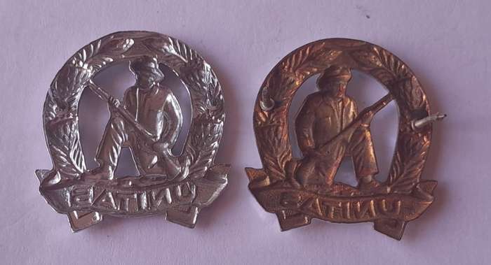 Pair SADF Commando Collar Badges (Facing).  Pins Intact.