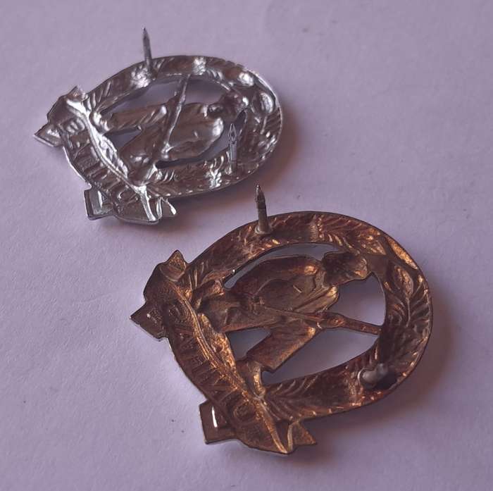 Pair SADF Commando Collar Badges (Facing).  Pins Intact.