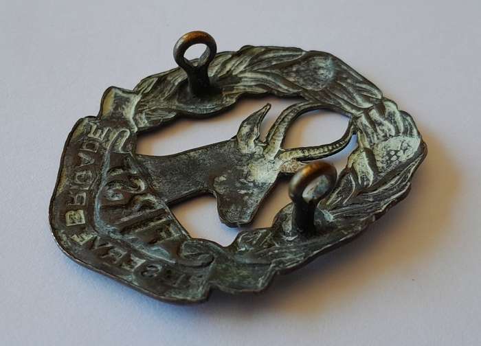 WW2 SA First Reserve Brigade Cap Badge. Bronzed Brass. Lugs Intact.