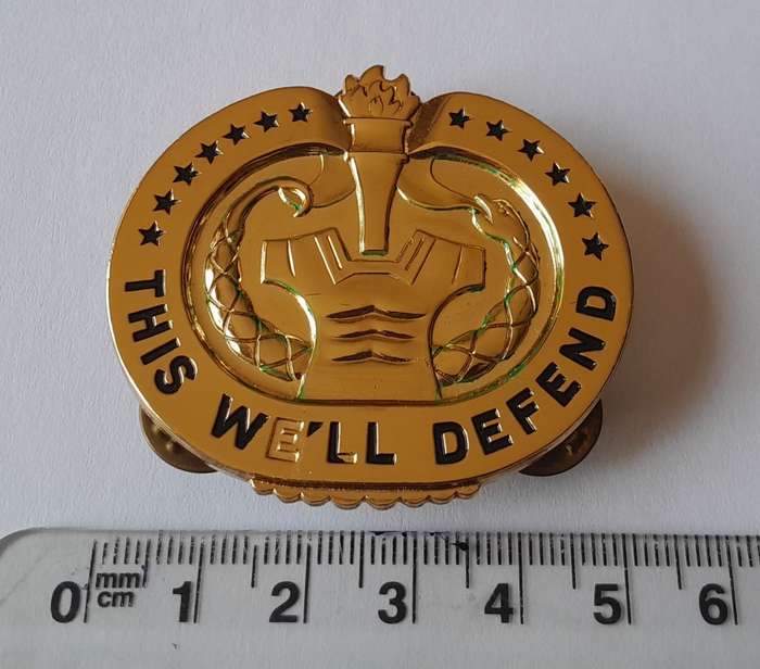 U.S. Army Drill Sergeant Badge. `THIS WE`LL DEFEND`. Pins Intact.
