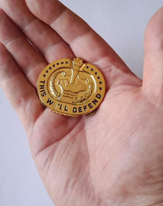U.S. Army Drill Sergeant Badge. `THIS WE`LL DEFEND`. Pins Intact.