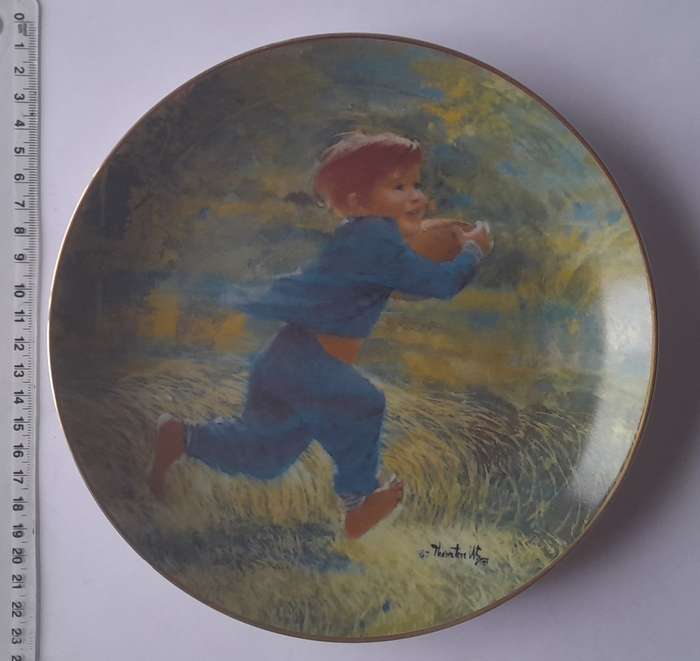 Vintage Plate By Viletta. `Touchdown` By Artist `Thornton Utz`. Signed And Dated. 22 cm.