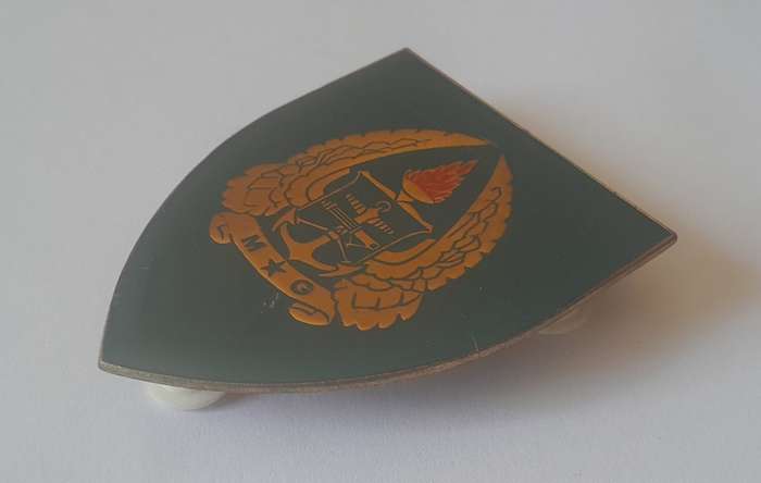 SADF Gymnasium Flash (2 of 2). All Pins Intact.