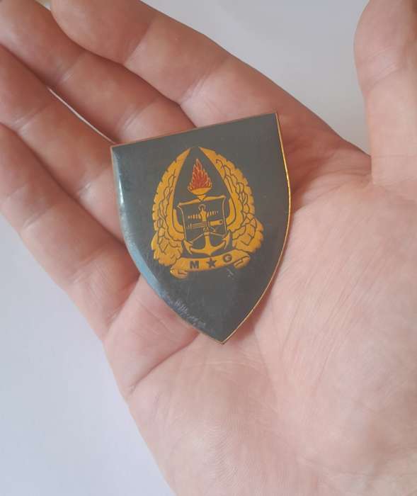 SADF Gymnasium Flash (2 of 2). All Pins Intact.