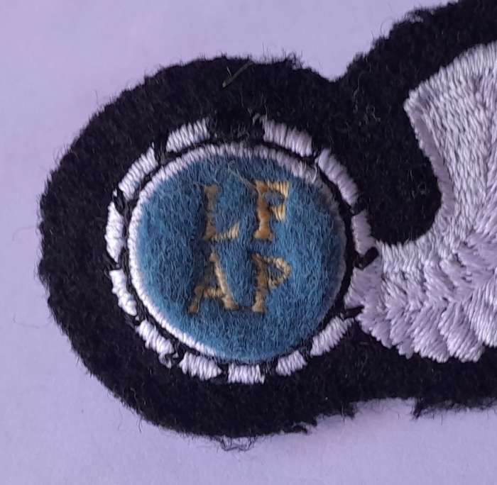 SA Air Force Air Photographer Large Wing Badge. Pins Intact.