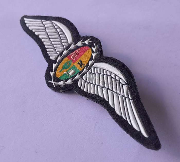SA Air Force Pilot`s Large Wings Badge. Pins Intact.