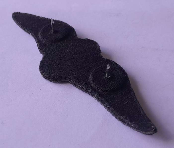 SA Air Force Pilot`s Large Wings Badge. Pins Intact.