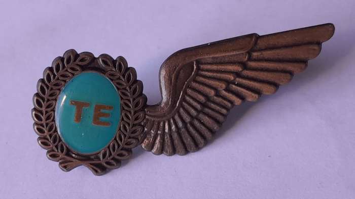 SA Air Force Test Engineer Metal Wing Badge. Pins Intact.