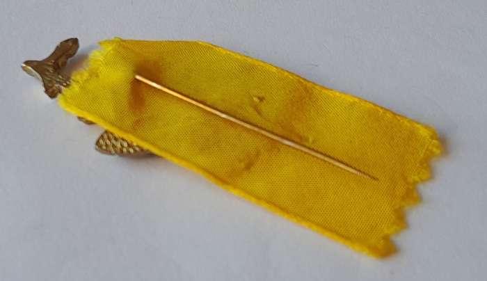 Vintage 1960 South African Rugby Pin Badge