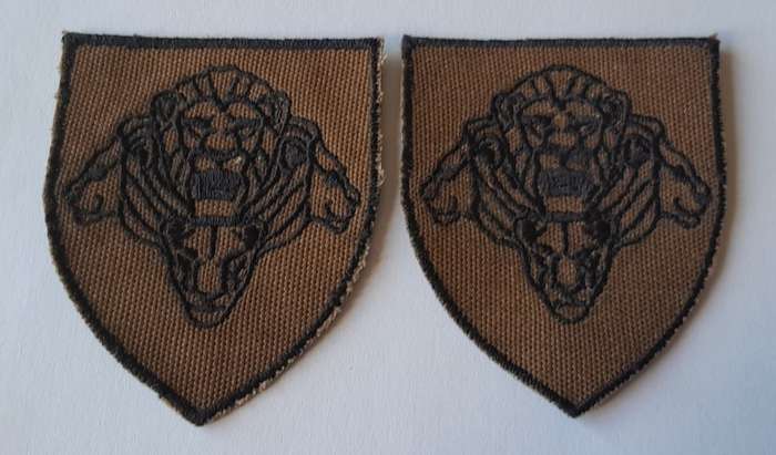 Pair SADF `Pride of the Nation` Flashes.