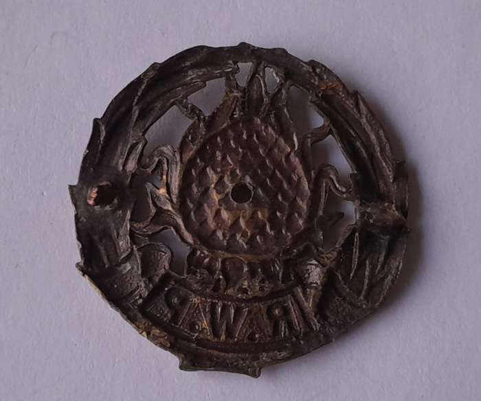 Regiment Western Province Badge.  Holed.  No Lugs.