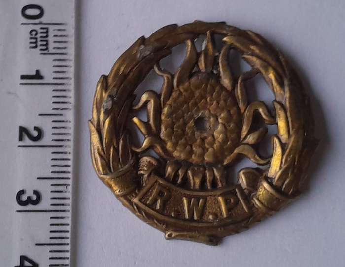 Regiment Western Province Badge.  Holed.  No Lugs.