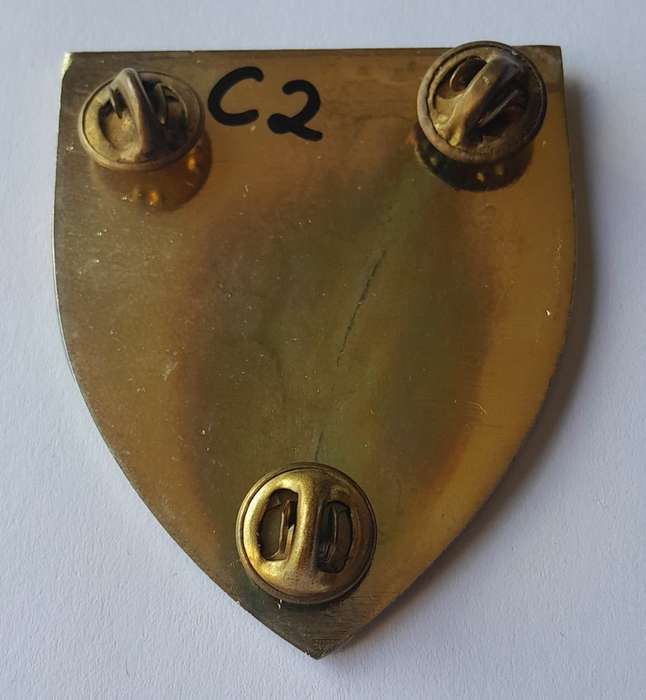 SADF 1 Parachute Battalion Shoulder Flash.  All Pins Intact.