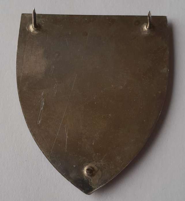 SADF 4 Vehicle Reserve Park (4VRP) Unit Shoulder Flash.  All Pins Intact.