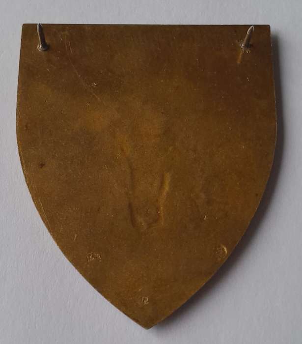 SADF 5 South African Infantry (5 SAI) Battalion Shoulder Flash.  2 Pins Intact.