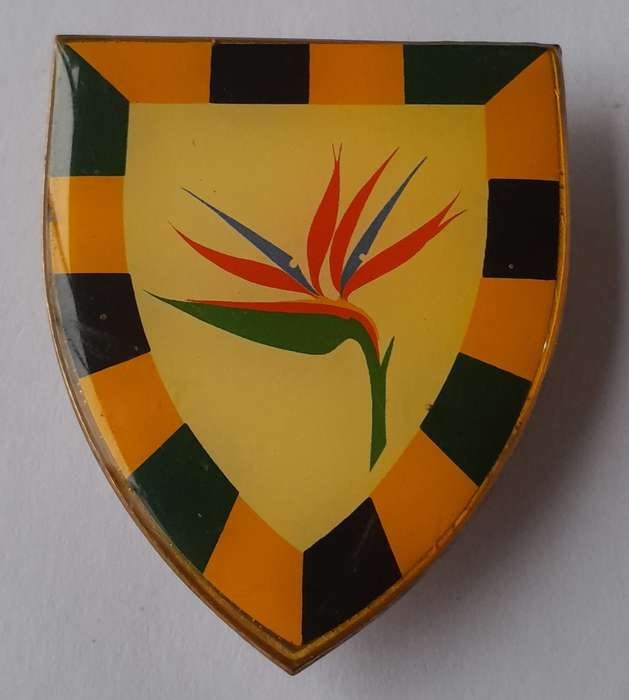 SADF 6 South African Infantry (6 SAI) Battalion Shoulder Flash.  All Pins Intact.
