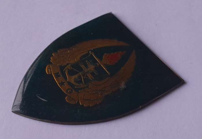 SADF Army Gymnasium Shoulder Flash.  No Pins.