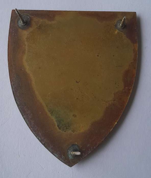 SADF 82 Technical Stores Depot Shoulder Flash.  All Pins Intact.