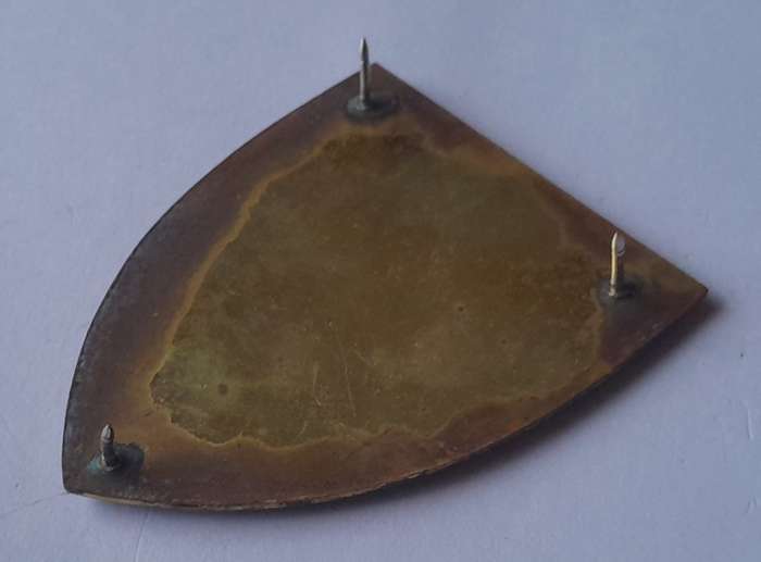 SADF 82 Technical Stores Depot Shoulder Flash.  All Pins Intact.