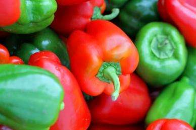 PEPPER SEEDS CALIFORNIA WONDER - 40 SWEET PEPPER SEEDS