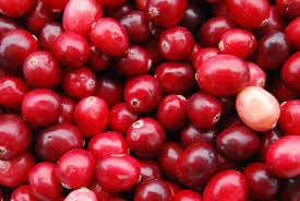 CRANBERRY SEEDS - 10 CRANBERRY SEEDS